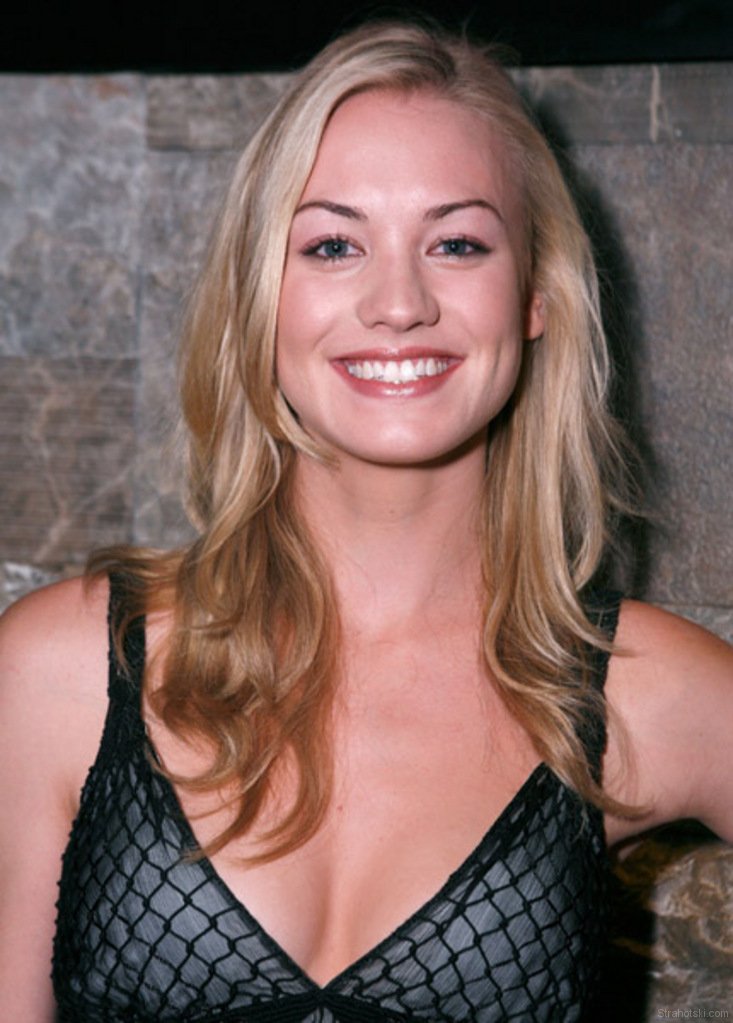 Yvonne Strahovski all smiles in black fishnet dress