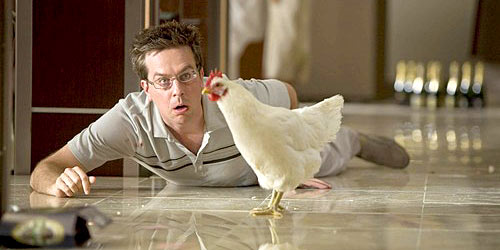 Ed Helms with a chicken - The Hangover