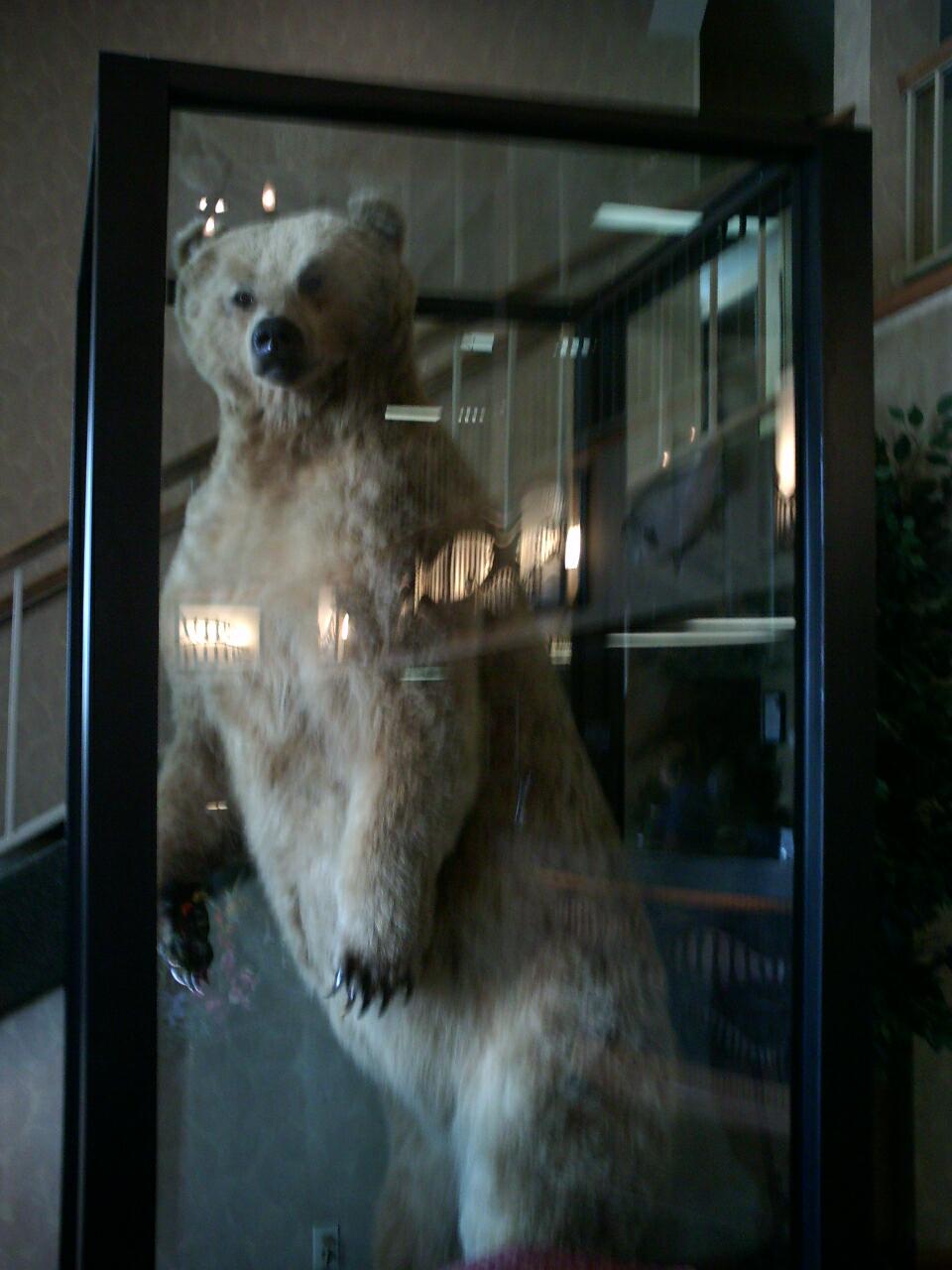 stuffed Alaskan Grizzly