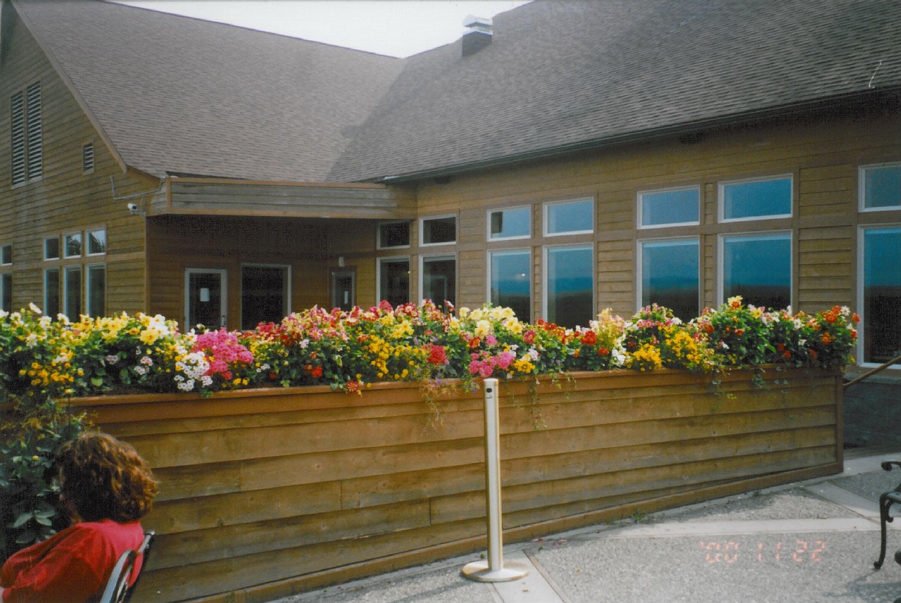Talkeetna Lodge - flowers on the patio