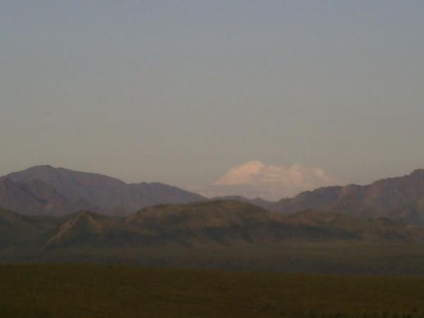 Click picture to enlarge